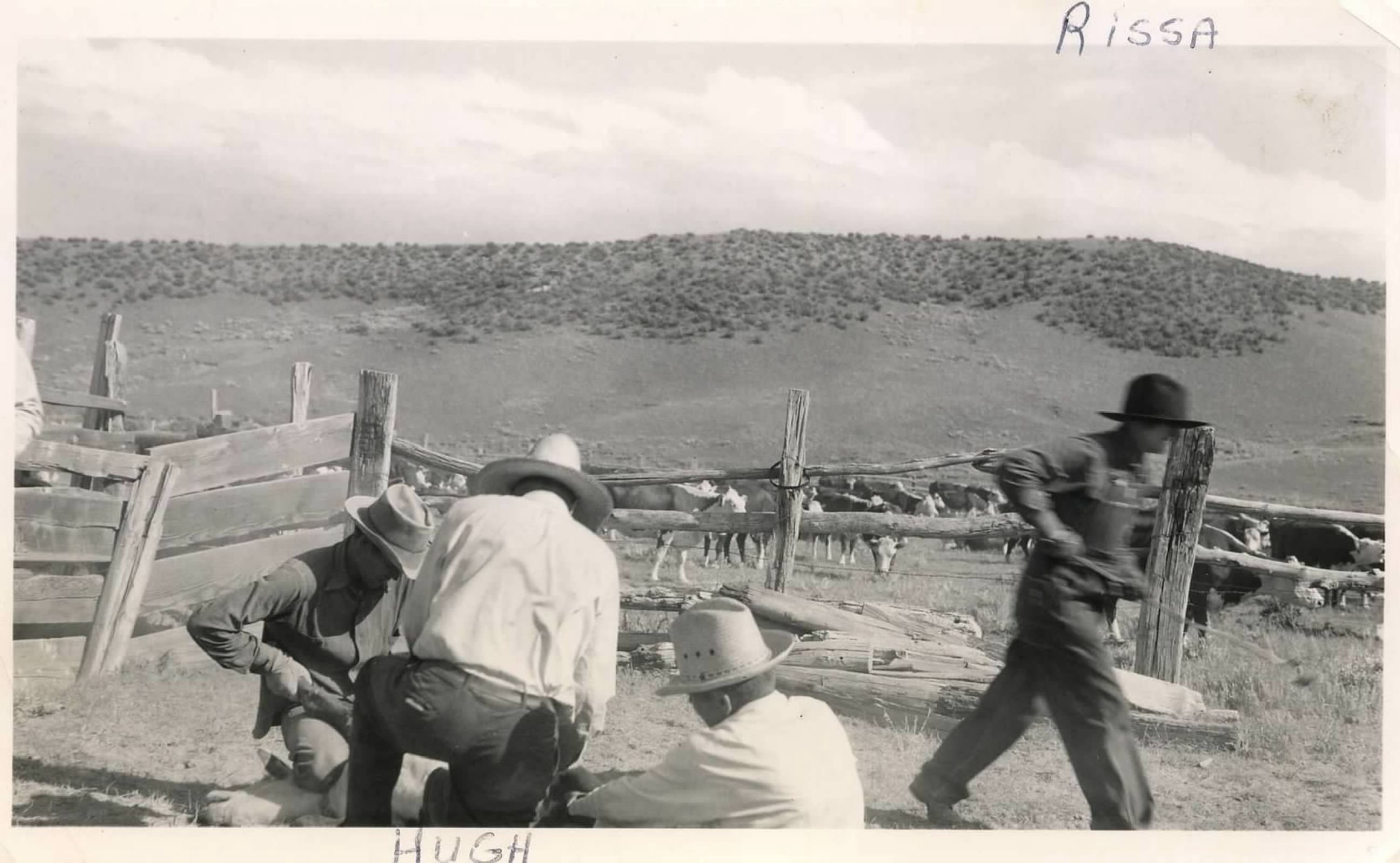 Historic ranch branding scene connecting DayHerder to its ranch roots and long-term operational history.